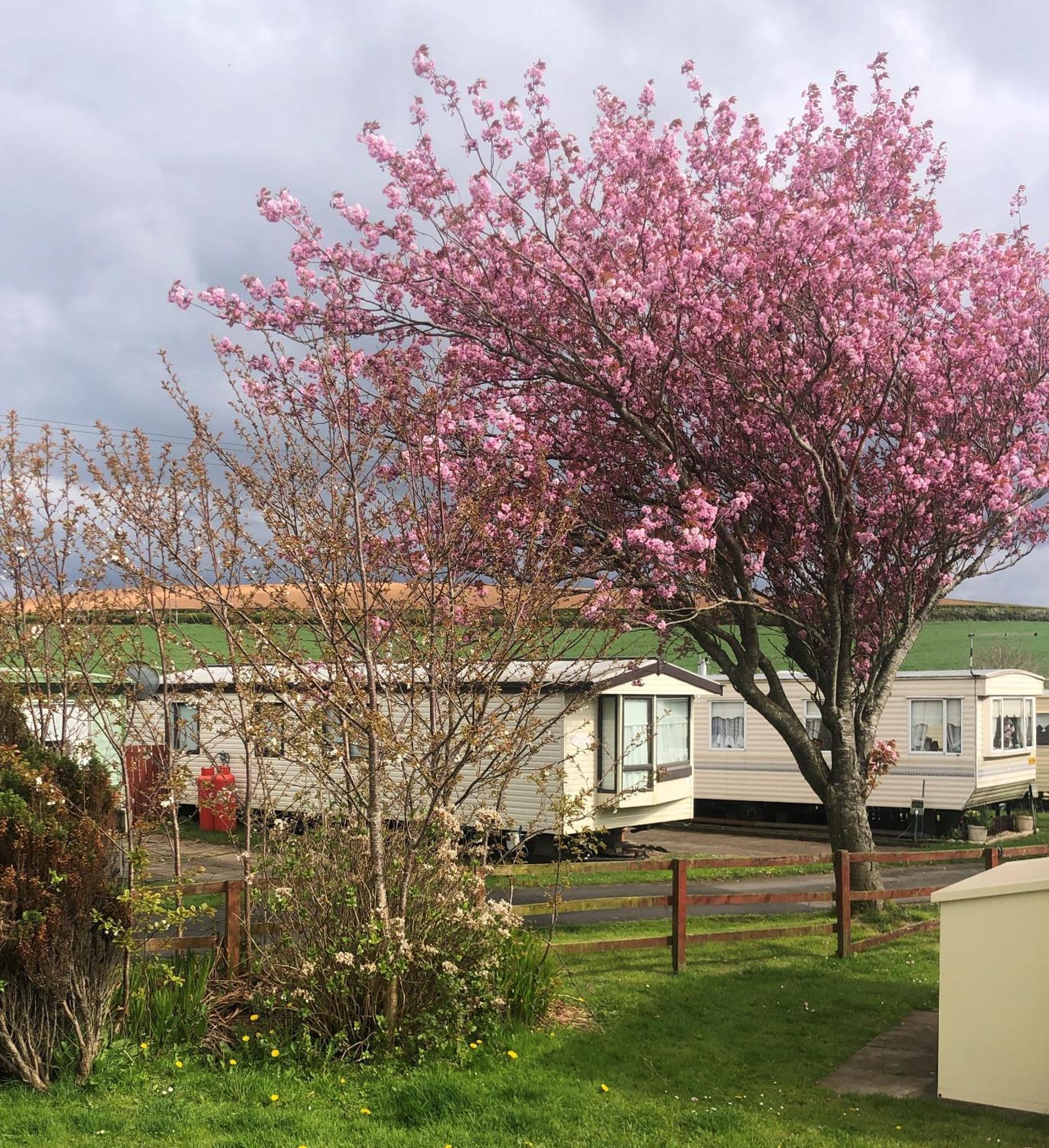 Turnberry Holiday Home Exterior foto